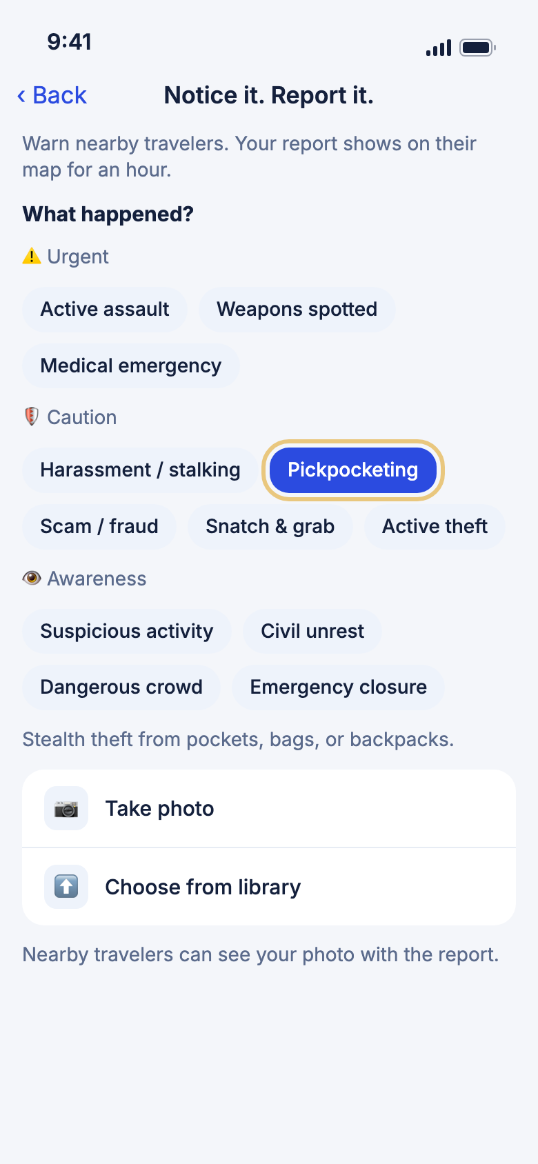 The report form with Pickpocketing chosen